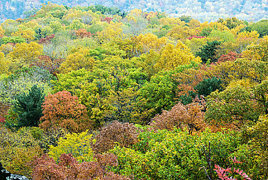 一个好妈妈6个字光头强华驿9l|“简单话语蕴藏智慧:一位母亲用“坚持就是胜利”改变孩子一生,引发社会热议”-2