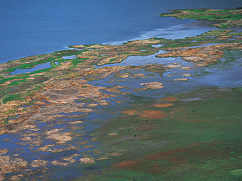 tom影院入口tom最新消息更新内容｜焕新界面，VIP特权，Tom影院升级观影新境界