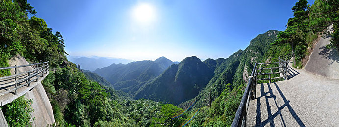 大菠萝福利院｜爱心绿洲，温情大菠萝：共筑温馨家园故事-3
