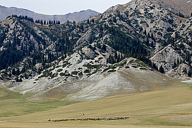 166.su黑料不打烊入口｜网络黑料文化引发的社会责任与挑战-2