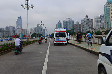 不知火和三个小男孩在森林公园猜数字答案|智慧森林奇遇记:解码数字谜题,成就友谊与人生智慧-2