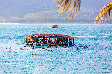 视频三区|视频互动体验区的情感共鸣之旅-2