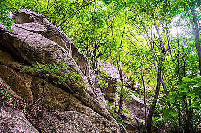 奴役支狂虐鞭打XXXXX绑架|狂虐冒险之旅:揭秘“XXXXX绑架”游戏的独特魅力与刺激体验-1