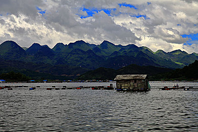 免费剧烈运动扑克视频下载软件｜健身娱乐两不误，运动扑克共舞动-4