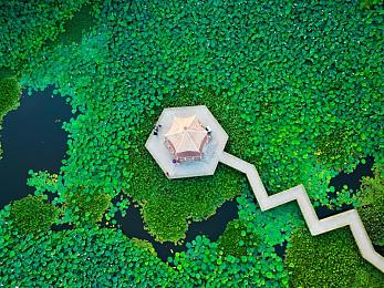 佳人直播|虚拟交织现实,电竞直播盛宴绽放-2