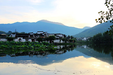 仙踪林老狼19潮水｜仙踪神秘力，潮水解难题，职场胜算手-2