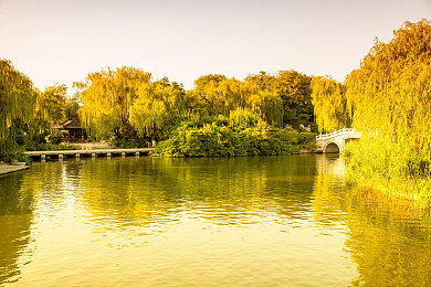 奴役支配性狂虐电击极端|电击狂潮,狂野游戏盛宴:极致支配,挑战极限刺激-1