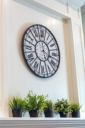 男生和女生一起查查查｜校园“查查查”行动：男女携手揭秘食品安全迷雾