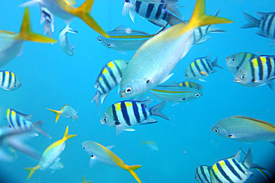 一面亲上边一面膜下边的应用｜膜下观世界，畅游科技新视界