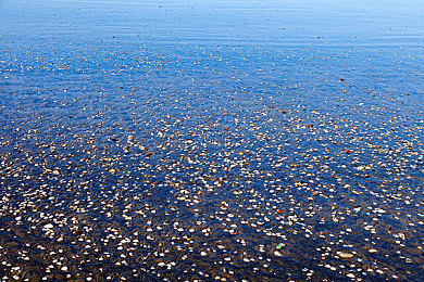 成人AⅤ｜探索成人AV魅力：体验全新视听盛宴，轻松减压，享受个人时光-4