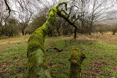 警察3p暴菊Gαy无套|警权滥用下的道德拷问:法治之盾如何守护公平正义-1