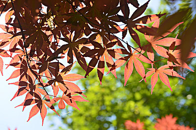 羞羞视频直播|网络直播新风潮中的隐忧与自救之路-4