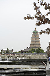 小小拗女性BBWⅩⅩⅩⅩ|小小拗女性BBW逆境逆袭:勇敢追梦,绽放光芒-2