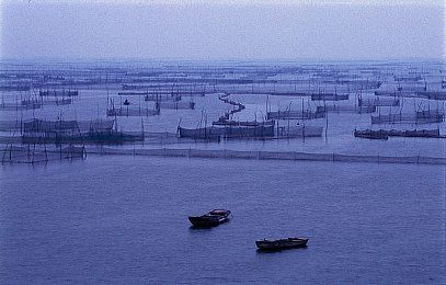 男人c女人｜情感策略巅峰：以智取心，赢得爱情之恋-2