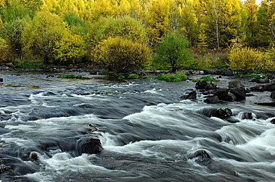 伊人直播｜直播新境，伊人风采：模拟主播养成记-3