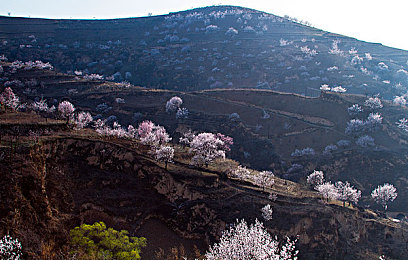 100款流氓软件｜揭秘潜藏电脑的百款“隐形杀手”，共筑安全网络防线-2