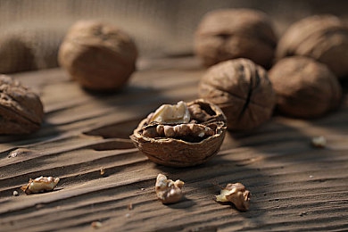 男同资源｜多元视角下的男同文化盛宴，探索心灵的彩虹桥-3