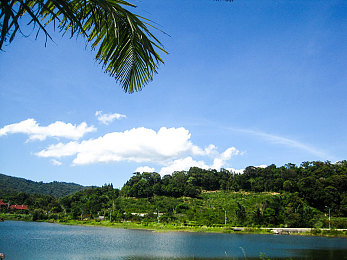 网曝门精品泄密｜揭秘网络奥秘，网曝门精选，高效筛选真相之旅