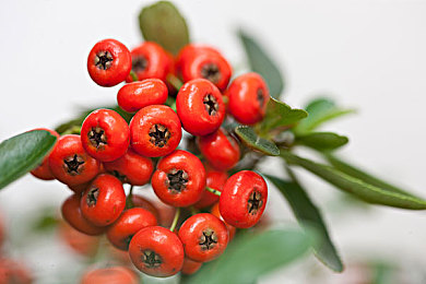 UU幼儿儿童网站｜全新教育平台UU幼儿儿童网站上线，助力幼儿健康成长，打造亲子育儿新体验-2