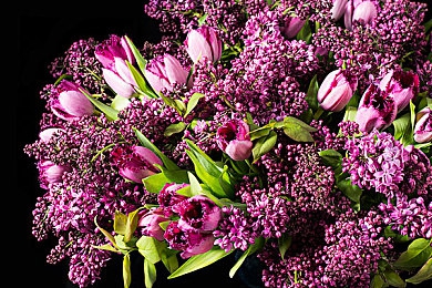 极品肉体木下凛凛子JUL208|视觉盛宴新纪元:木下凛凛子JUL208奇幻之旅-1