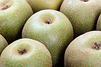 欧美大白屁股肥臀XXxXXx|揭秘:欧美“大白屁股肥臀”背后的文化魅力与时尚追求-2