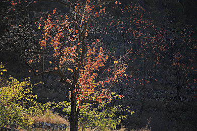 班花趴下让我 了一节课｜大学新生意外体验“班花趴下”游戏，一堂课笑不停-1