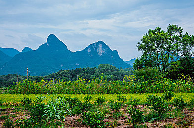 搞逼软件|隐私挑战下的创新边界:揭秘“搞逼软件”引发的科技伦理风暴-1