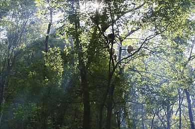 推特高危风险9.1免费版安装｜推特风险警报：隐私守护者安全指南-2