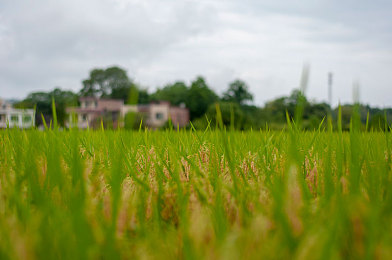真实 交video老少配｜穿越年龄界限，共筑欢乐游戏梦-2