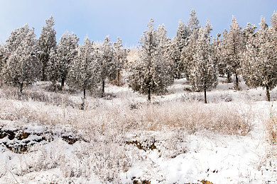 兽人18 手游｜兽人18：奇幻冒险，视觉盛宴，挑战极限，手游新篇章-2