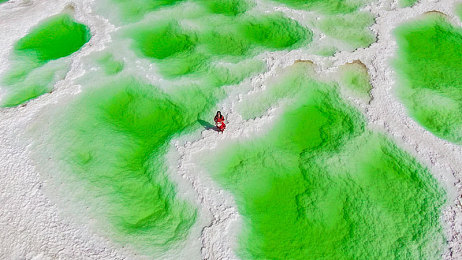 爆走黑料|网络暗流涌动:揭秘“爆走黑料”的操控艺术-2