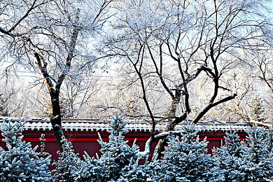 10款深夜亏亏｜深夜美食解馋秘籍：揭秘10款健康“深夜亏亏”美食，让你美味又健康