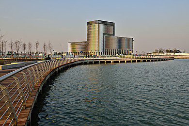 大黑迪克怪物｜神秘“大黑迪克怪物”惊现山林，揭开自然奥秘引发热议-1