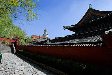 9I果冻制作厂_911制品厂麻花｜探寻美味之旅：9I果冻传奇与911麻花匠心传承-3