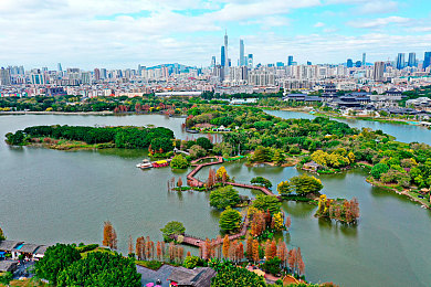 三上悠亚免费|新兴娱乐潮流下的粉丝互动新模式-1