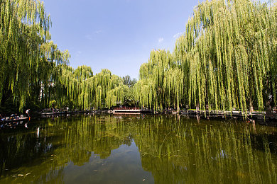 18禁止｜清朗直播界，18禁守护健康网络之旅-1