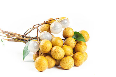 西方艺术本体137的特色与功效｜探索137艺术奥秘，传承创新无限魅力-3