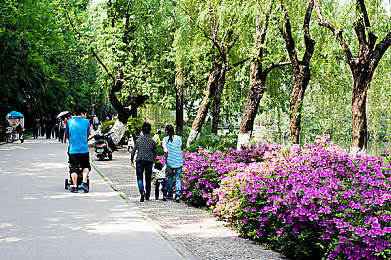 404款软件app入口｜“智能搜索助力应用市场：新应用“404款软件app入口”解决用户寻找难题，提升使用体验”-2