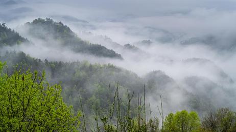 黄色软件app3.03|神秘冒险解谜之旅:挑战智慧,探索《黄色软件app3.03》奇幻世界-4