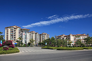 ACG本子※ACG绅士里番|揭秘ACG迷踪:版权风暴中的创意与争议-3