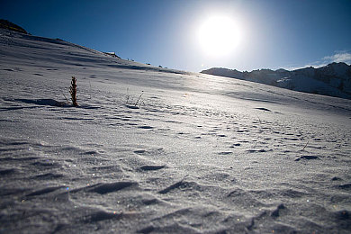 黄色软件3.0.3版本免费下载安装｜“免费下载引热议：“黄色软件”3.0.3版本内容审查与网络安全成焦点”-2