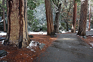 91吃瓜中心｜吃瓜新时代，91中心如何改变社交媒体格局-3