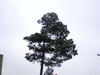 老师的兔子又大又软|趣味兔教具,寓教于乐学中乐-3