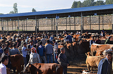 小柔爽 好多水 快 深点麻豆｜水润肌肤，快乐生活，小柔爽新体验-2