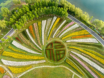 国产果冻videoXXXX实拍＼｜果冻新颜：揭秘国货崛起，品质升级赢全球目光