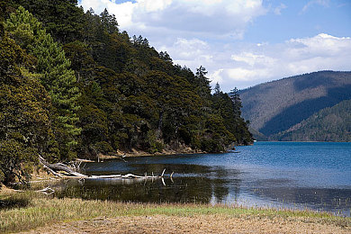 【口述】用妻子换来职位｜后宫风云：权谋策略游戏中，玩家巧用妻子提升地位成宫廷斗士-2