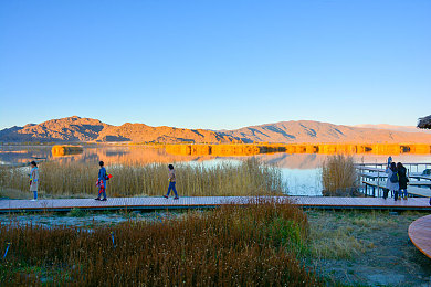 秀色直播app软件大全下载｜盘点热门秀色直播app，下载指南助你畅享直播盛宴-2