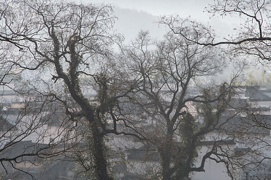 做I爱APP直播平台｜I爱APP直播平台崛起：创新模式引领行业新风尚，百万用户共筑娱乐新天地-3