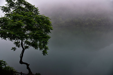 秘 男生互摸jiji秘 免费网站|网络迷雾散去,守护青春净土-3