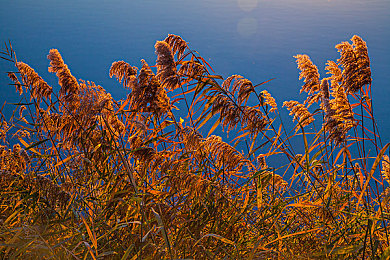 男女叉叉叉|性别打破,冒险之旅,多元宇宙角色互动-1